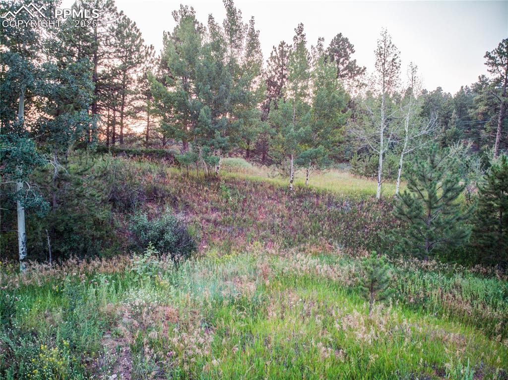 19569 E Highway 24 Woodland Park CO 80863