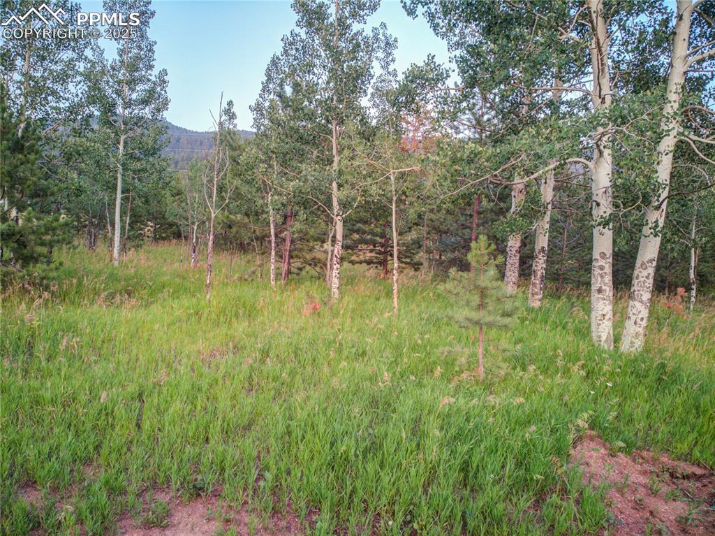19569 E Highway 24 Woodland Park CO 80863
