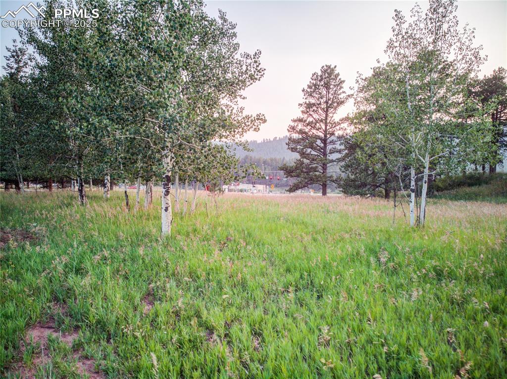 19569 E Highway 24 Woodland Park CO 80863