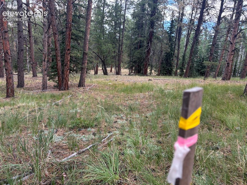 1020 Tamarac Parkway Woodland Park CO 80863