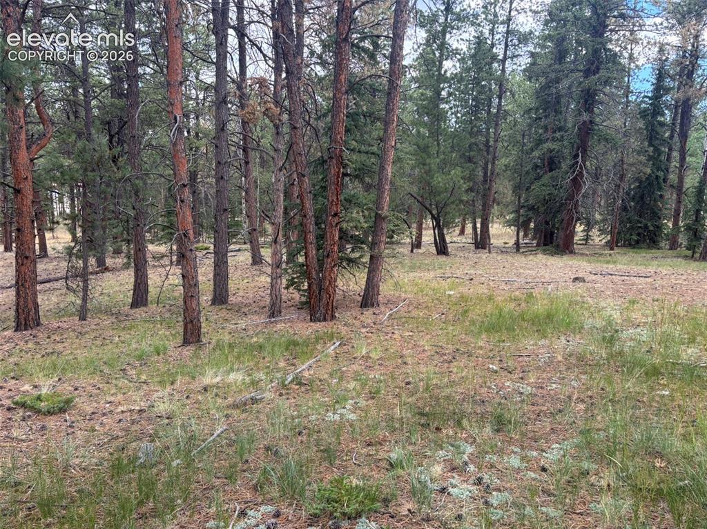 1020 Tamarac Parkway Woodland Park CO 80863