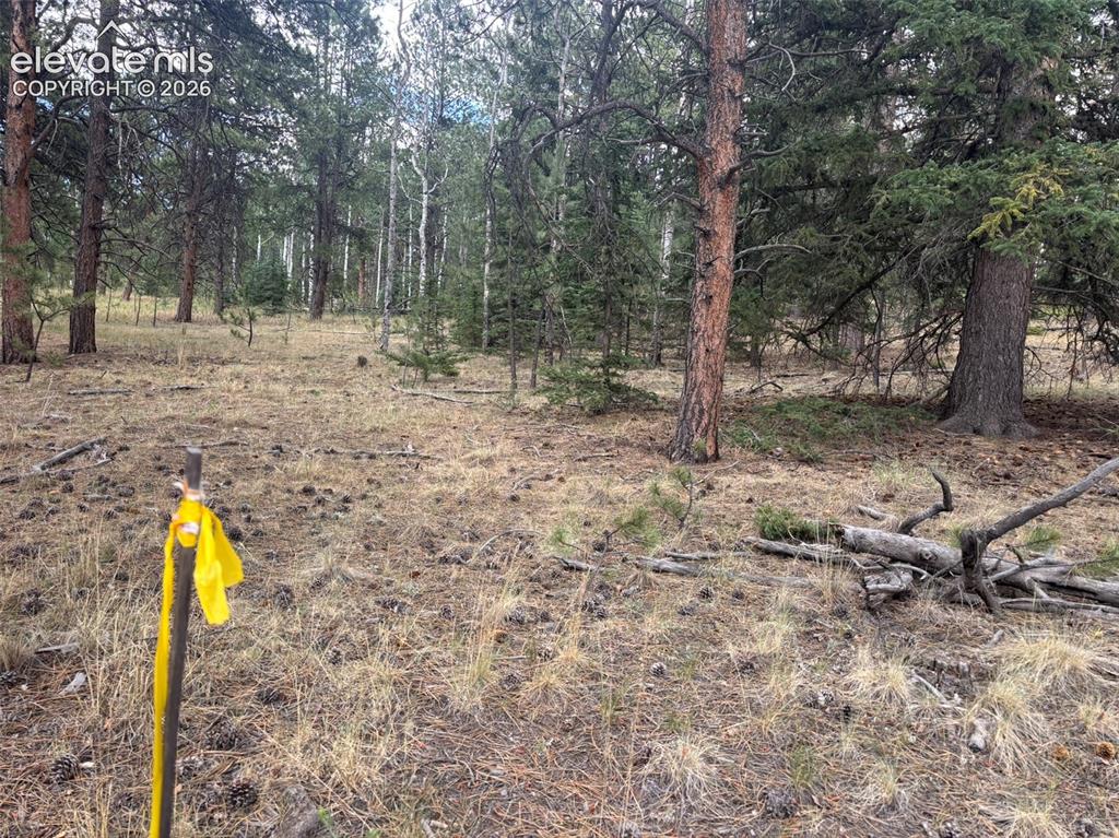 1020 Tamarac Parkway Woodland Park CO 80863