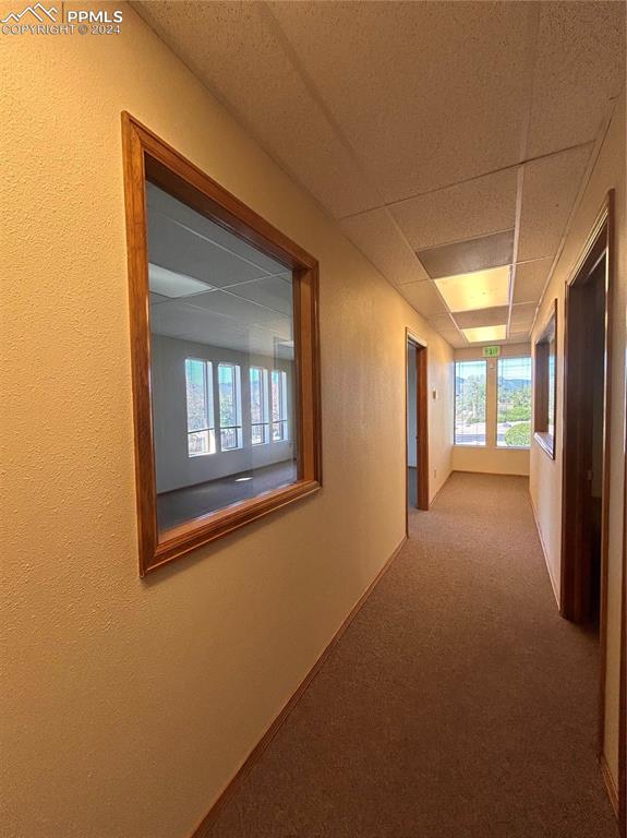 1925 Dominion Way Colorado Springs CO 80918