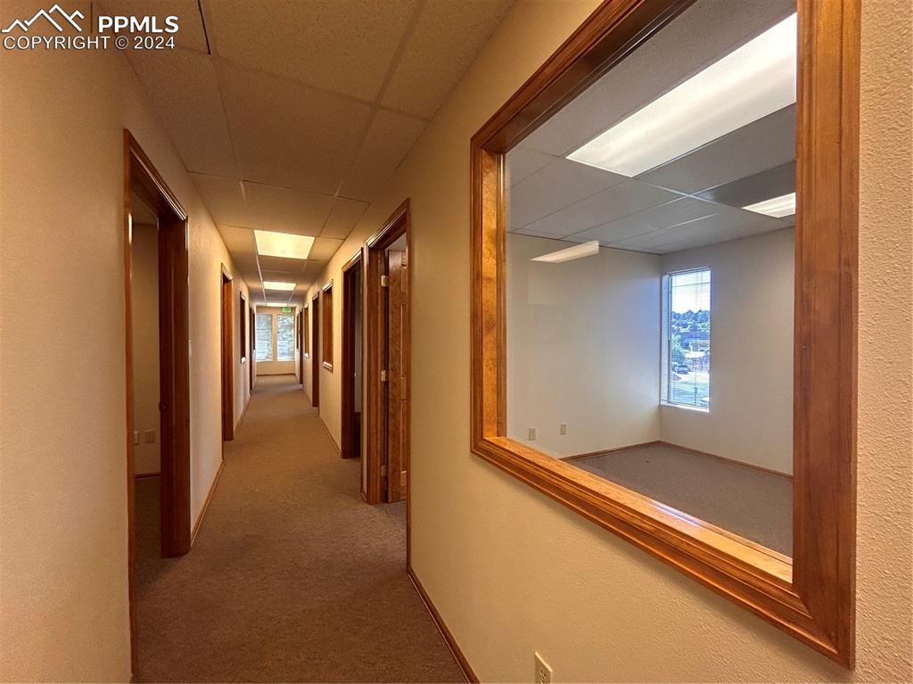 1925 Dominion Way Colorado Springs CO 80918
