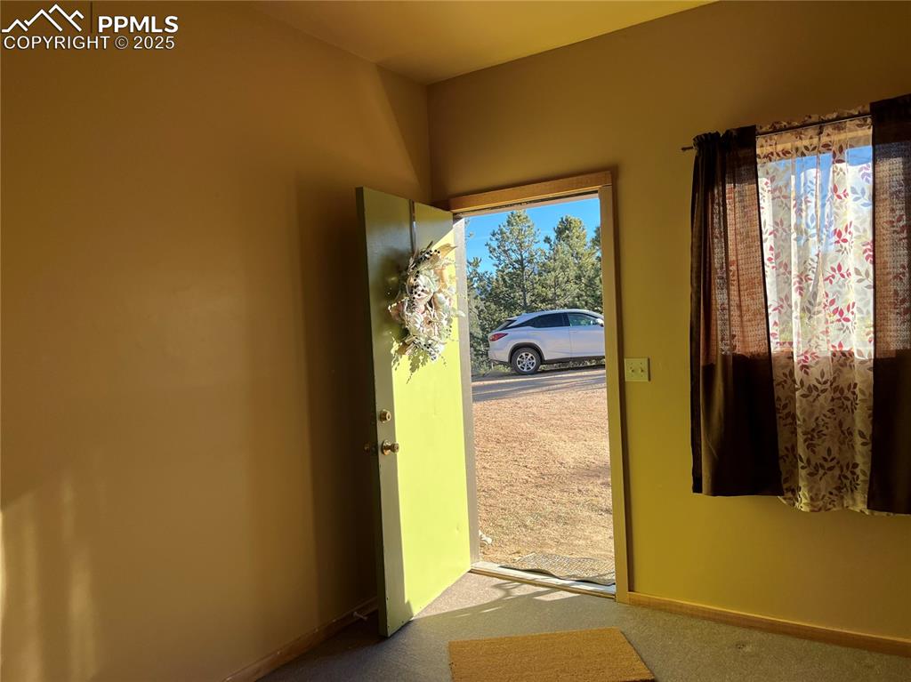 254 Balsam Road Woodland Park CO 80863