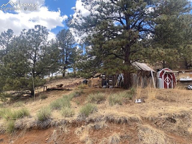 4023 Teller 1 Road Cripple Creek CO 80813