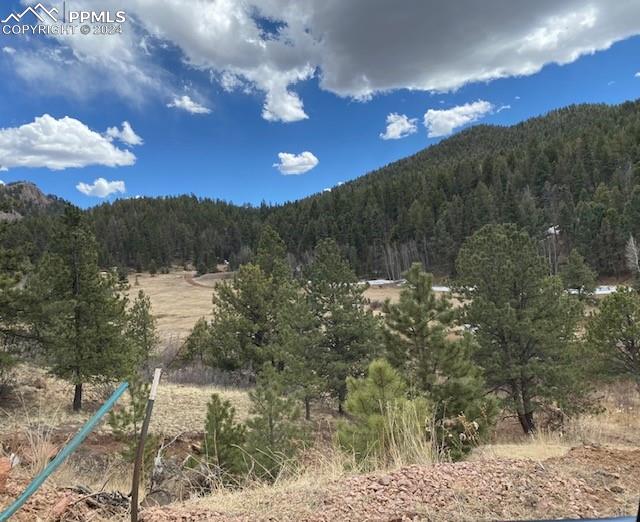 4023 Teller 1 Road Cripple Creek CO 80813