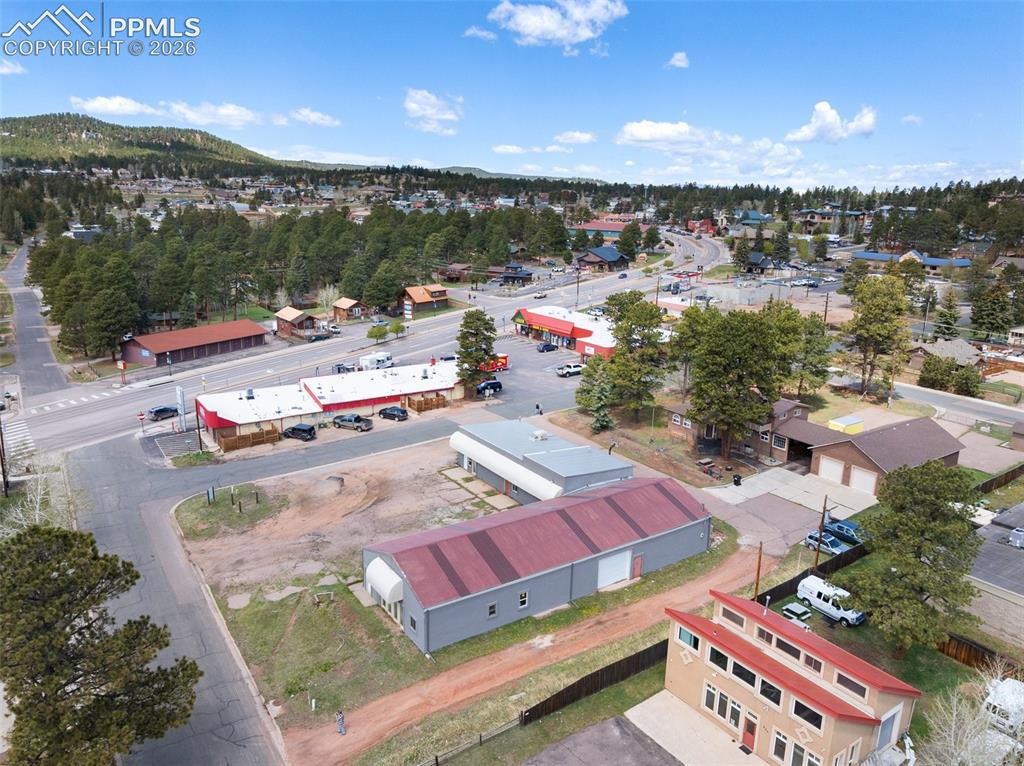 530 Chester Avenue Woodland Park CO 80863