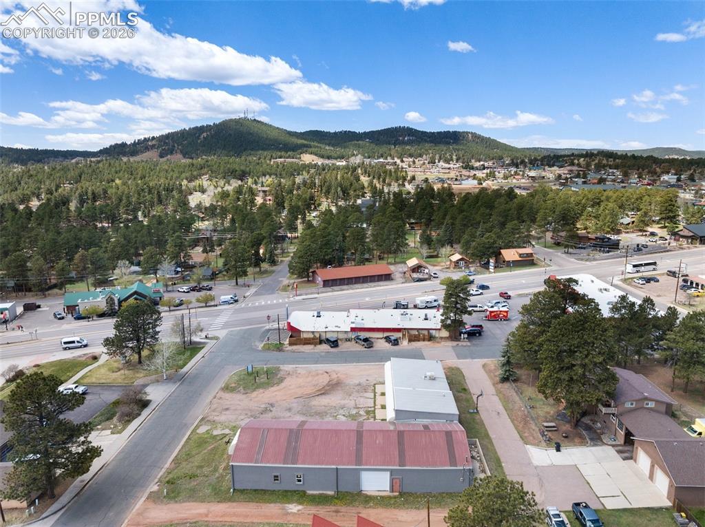 530 Chester Avenue Woodland Park CO 80863