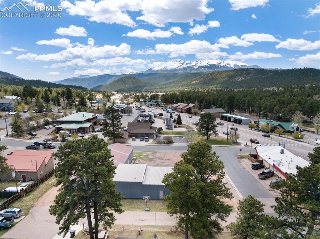 530 Chester Avenue Woodland Park CO 80863
