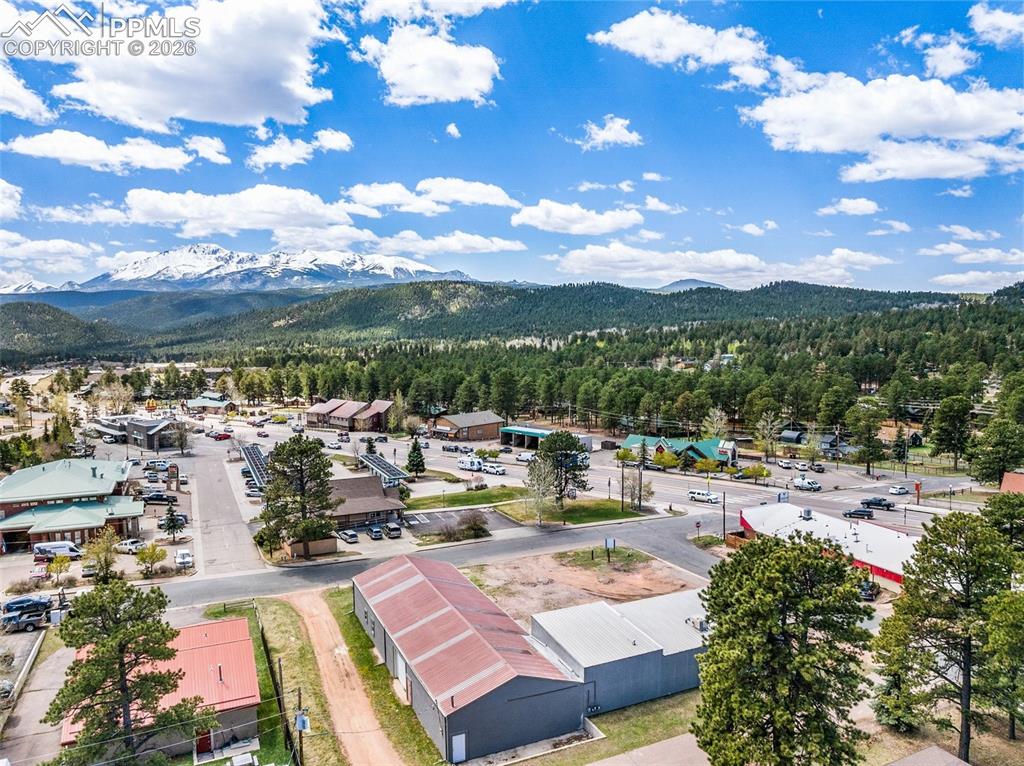 530 Chester Avenue Woodland Park CO 80863
