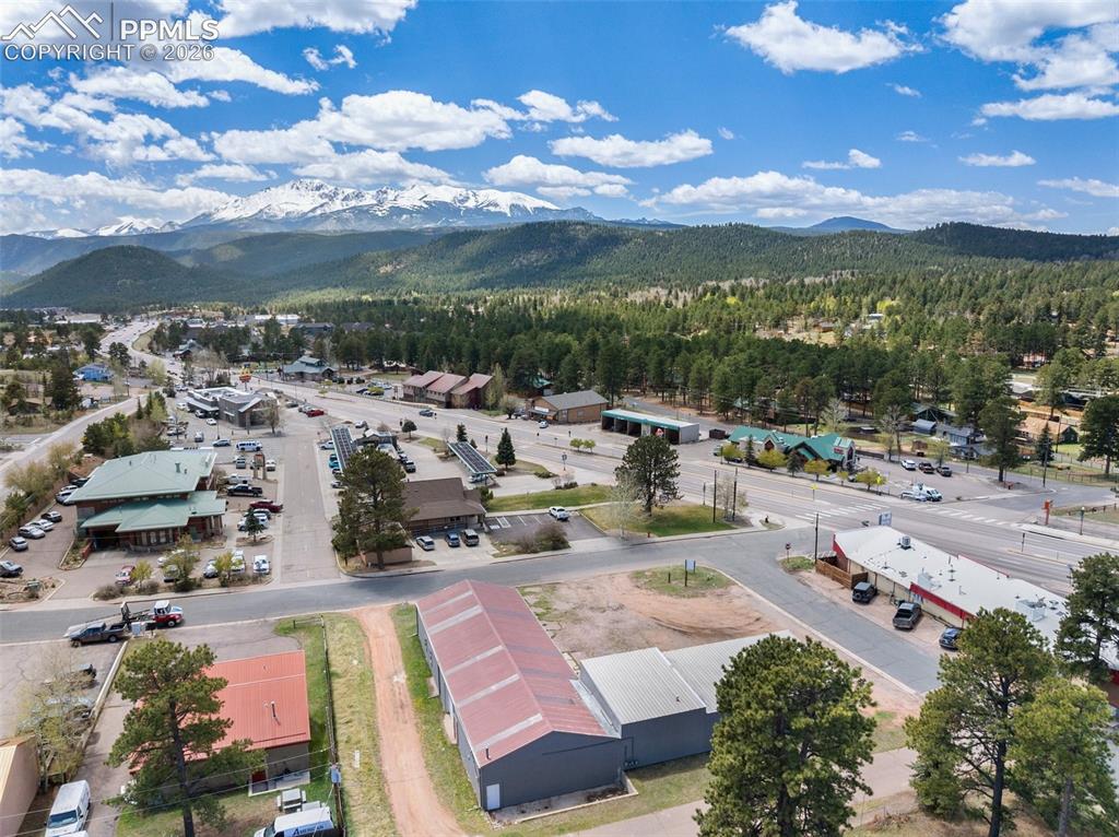 530 Chester Avenue Woodland Park CO 80863