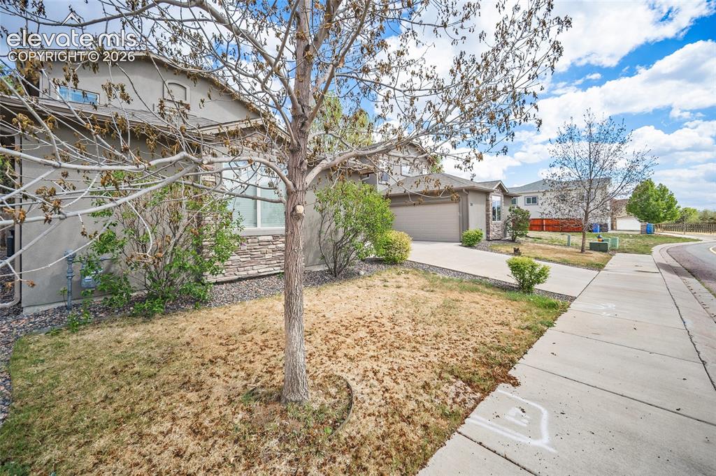 3723 Scott Lane Colorado Springs CO 80907