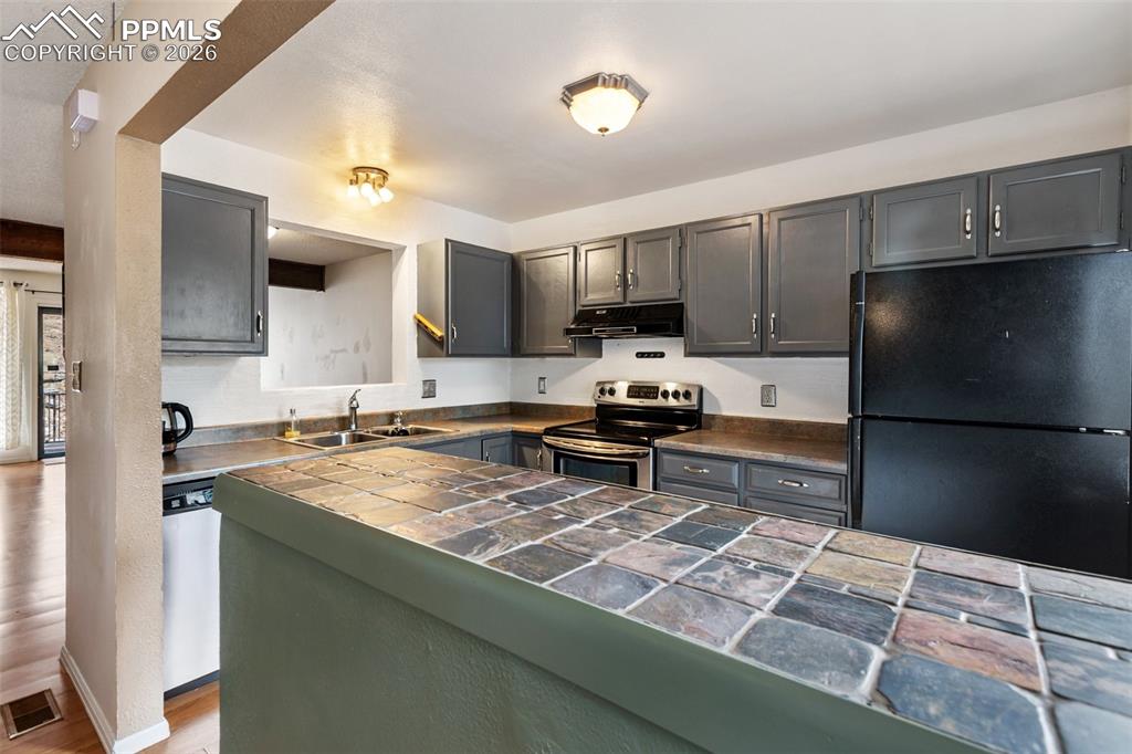 560 Manor Court Woodland Park CO 80863