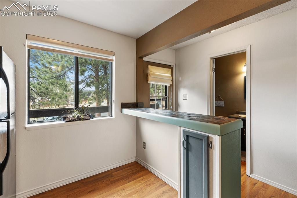 560 Manor Court Woodland Park CO 80863
