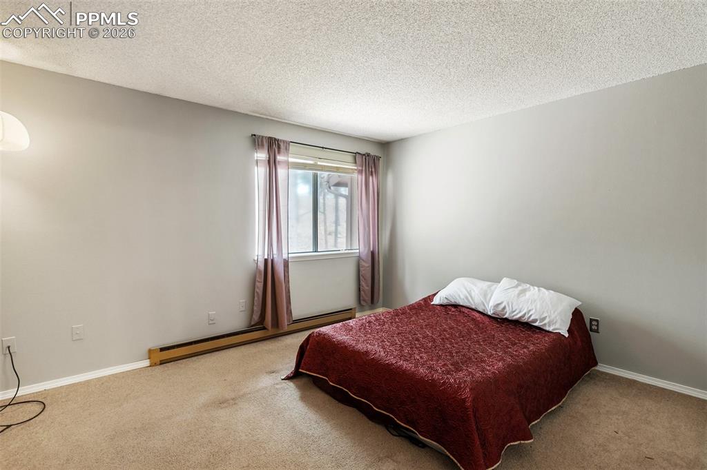 560 Manor Court Woodland Park CO 80863