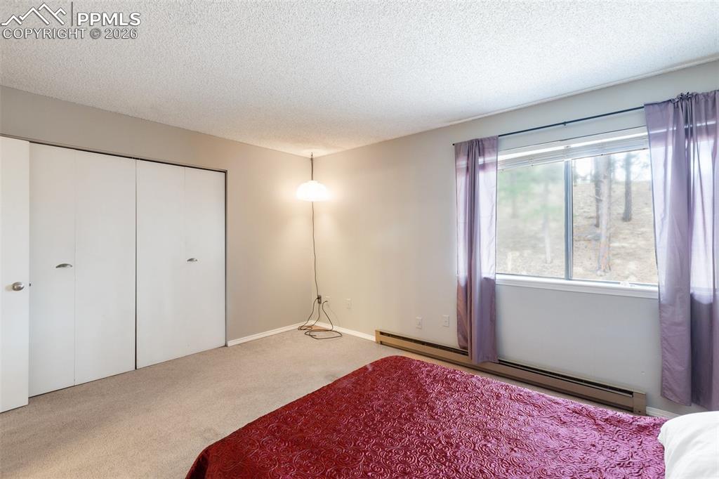 560 Manor Court Woodland Park CO 80863