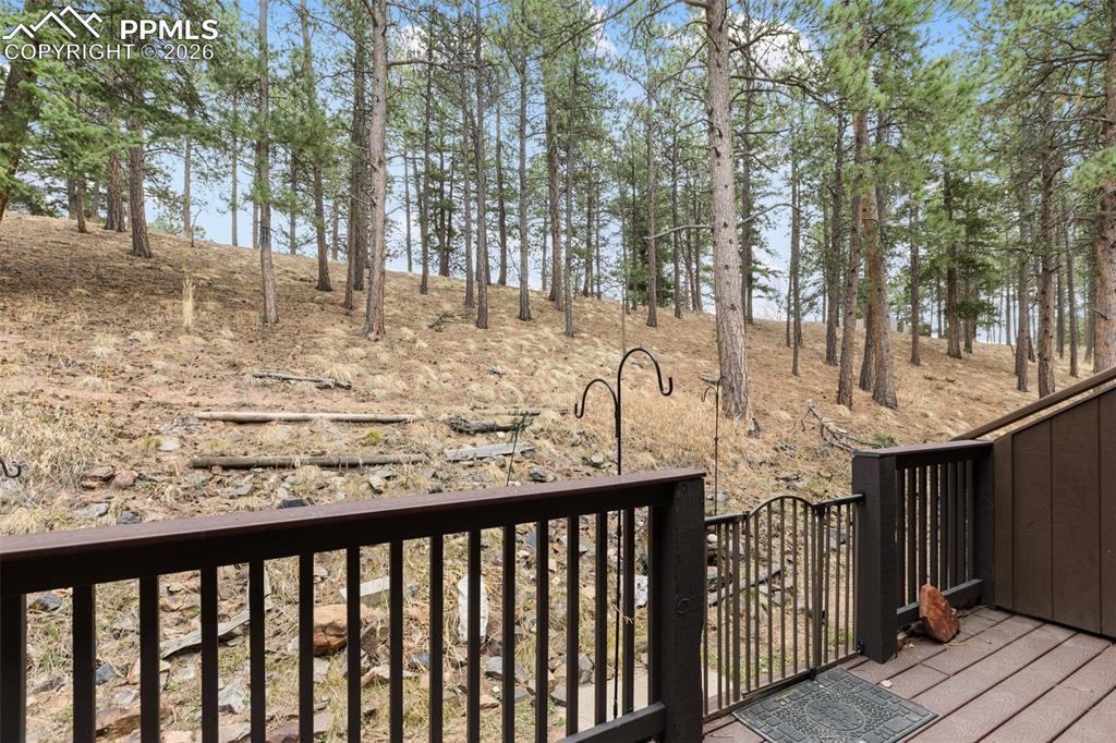 560 Manor Court Woodland Park CO 80863