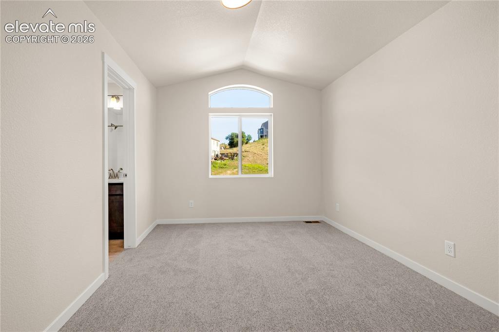 741 Little Bear Grove Colorado Springs CO 80907