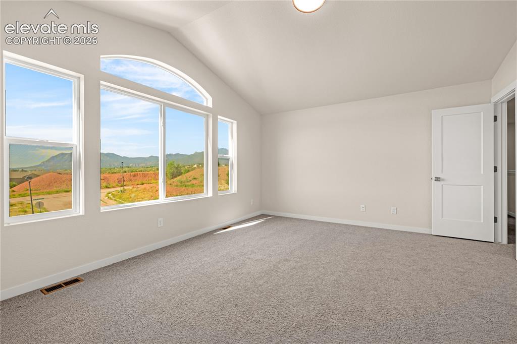 741 Little Bear Grove Colorado Springs CO 80907