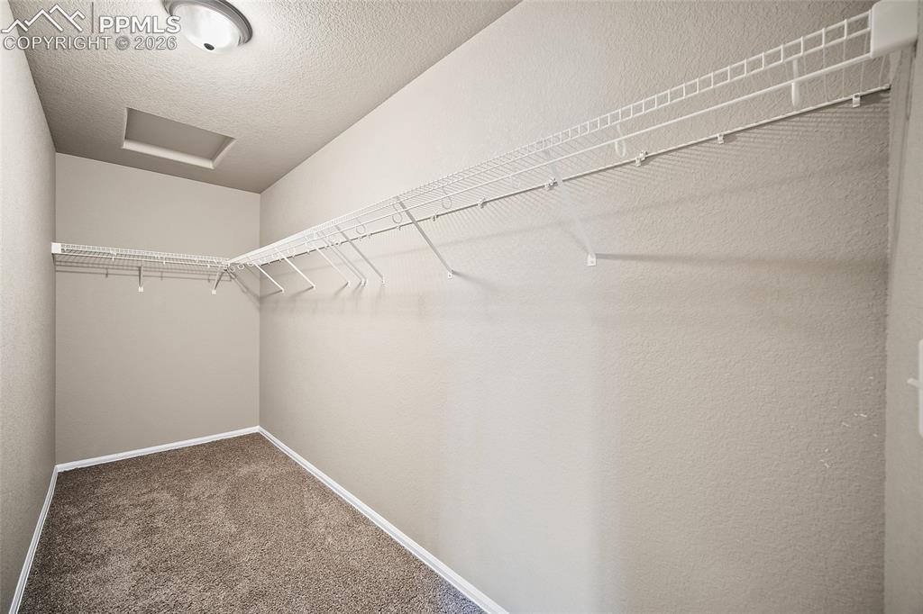7617 Black Spruce Heights Colorado Springs CO 80908