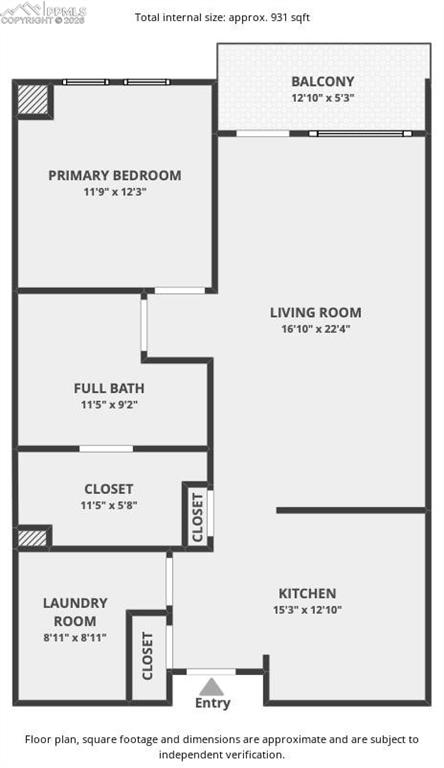 20 Wilcox Street Castle Rock CO 80104