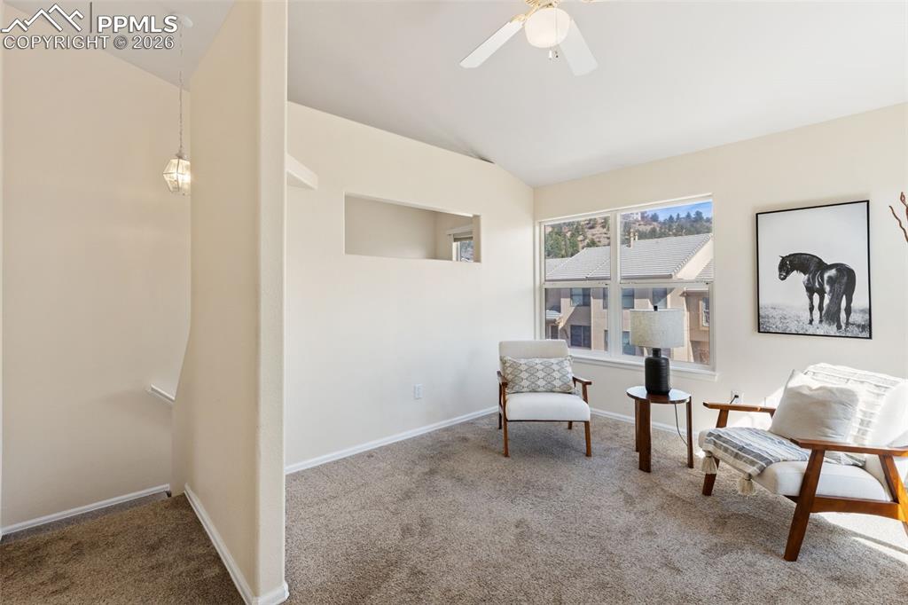 6926 Yellowpine Drive Colorado Springs CO 80919