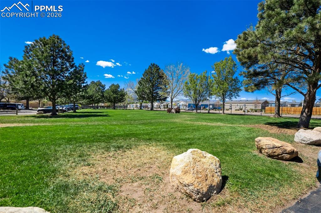 4358 Hawks Lookout Lane Colorado Springs CO 80916