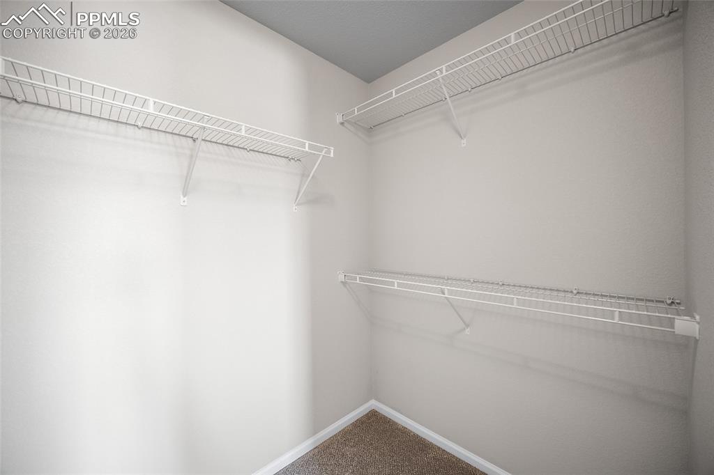 1955 Abbington Street Colorado Springs CO 80910