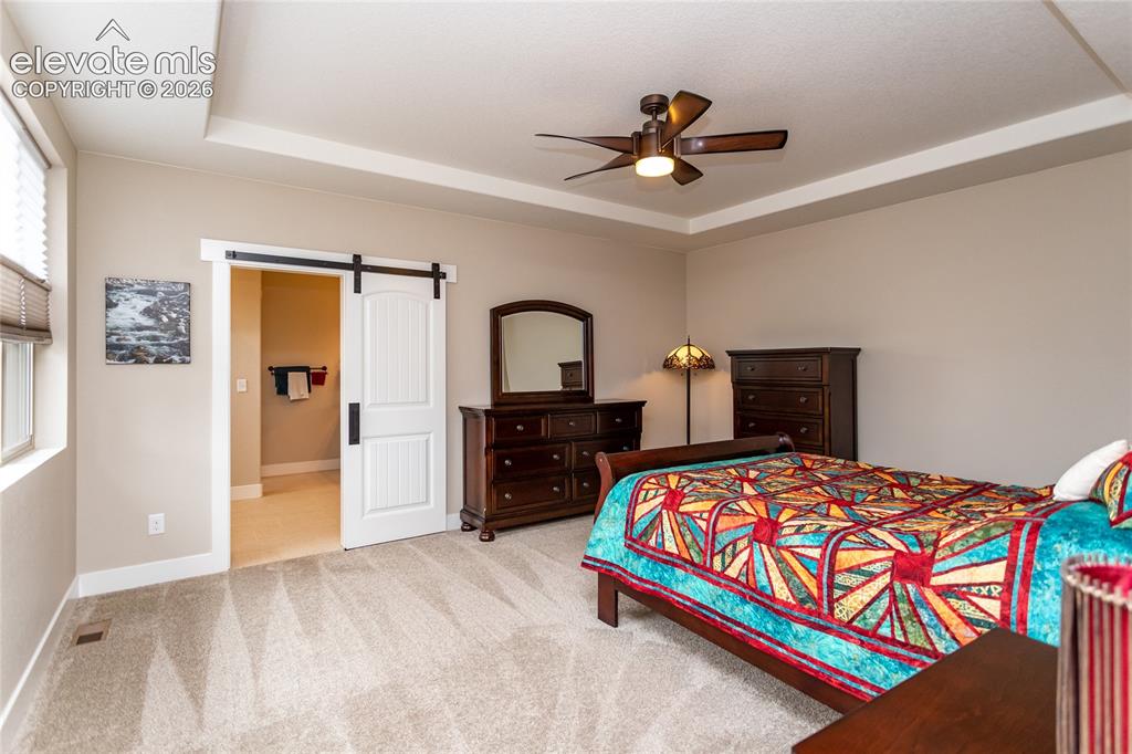 1678 Lazy Cat Lane Monument CO 80132