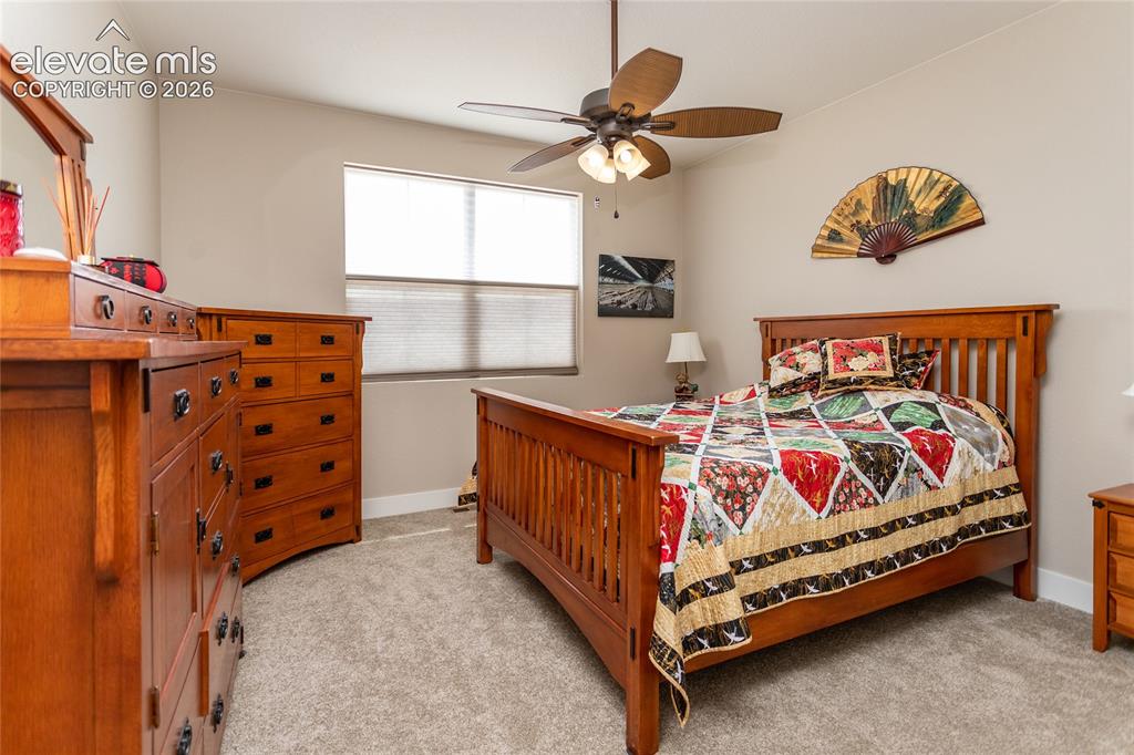 1678 Lazy Cat Lane Monument CO 80132