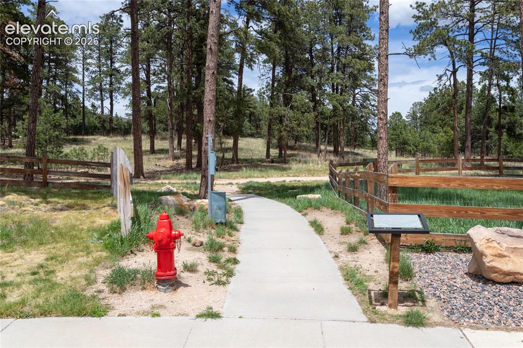 1678 Lazy Cat Lane Monument CO 80132
