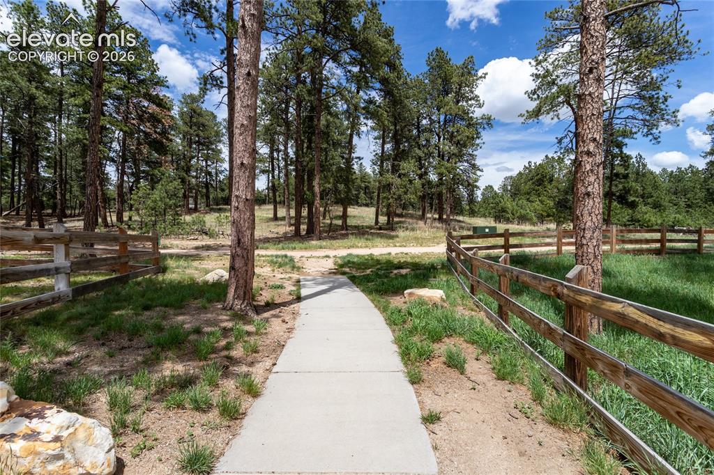 1678 Lazy Cat Lane Monument CO 80132