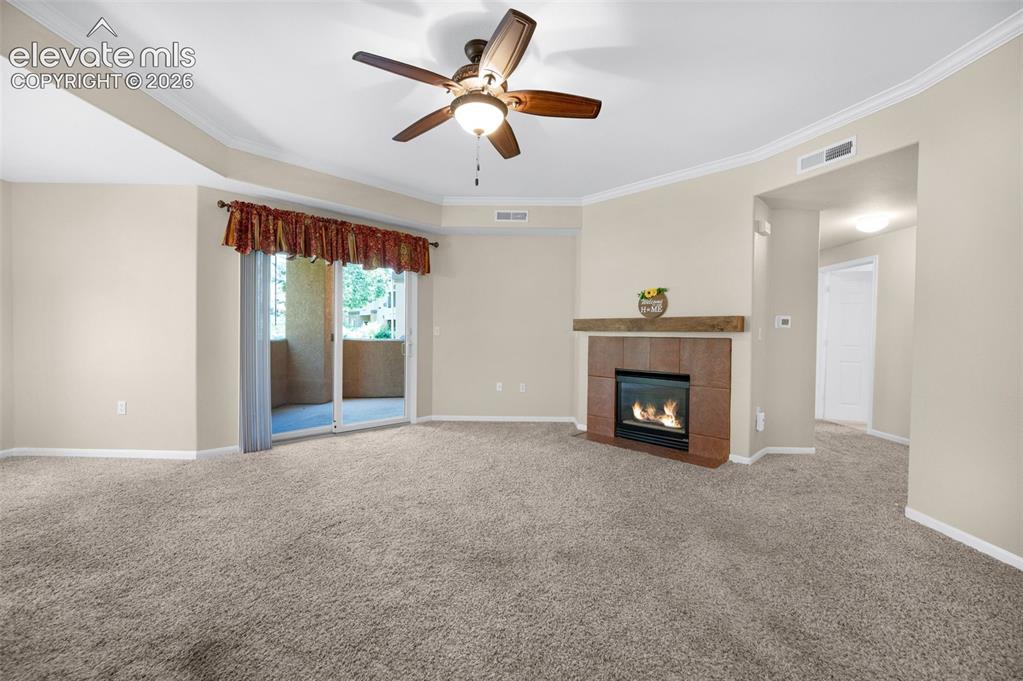 3831 Riviera Grove Colorado Springs CO 80922