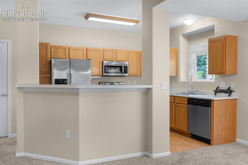 3831 Riviera Grove Colorado Springs CO 80922