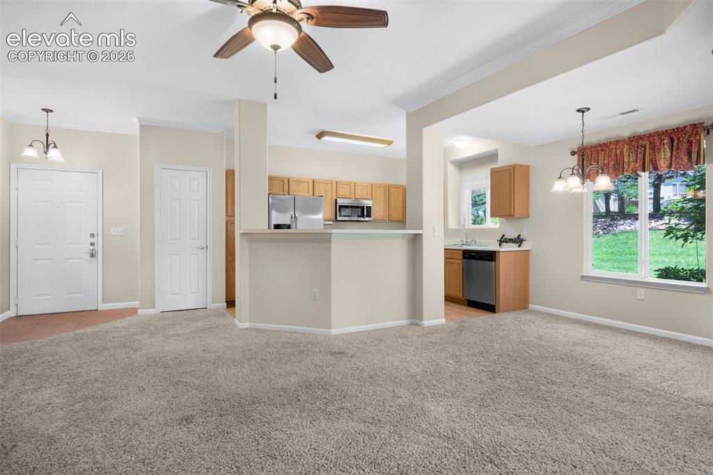 3831 Riviera Grove Colorado Springs CO 80922
