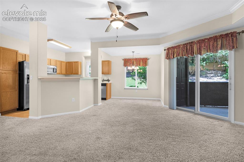 3831 Riviera Grove Colorado Springs CO 80922