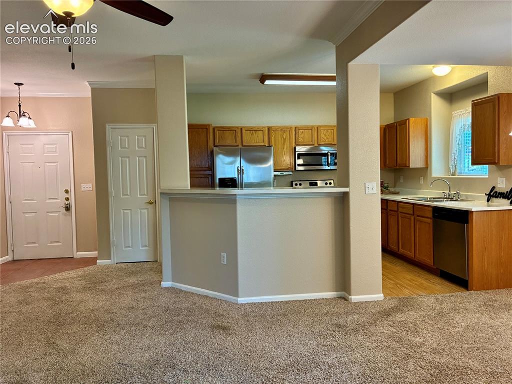 3831 Riviera Grove Colorado Springs CO 80922