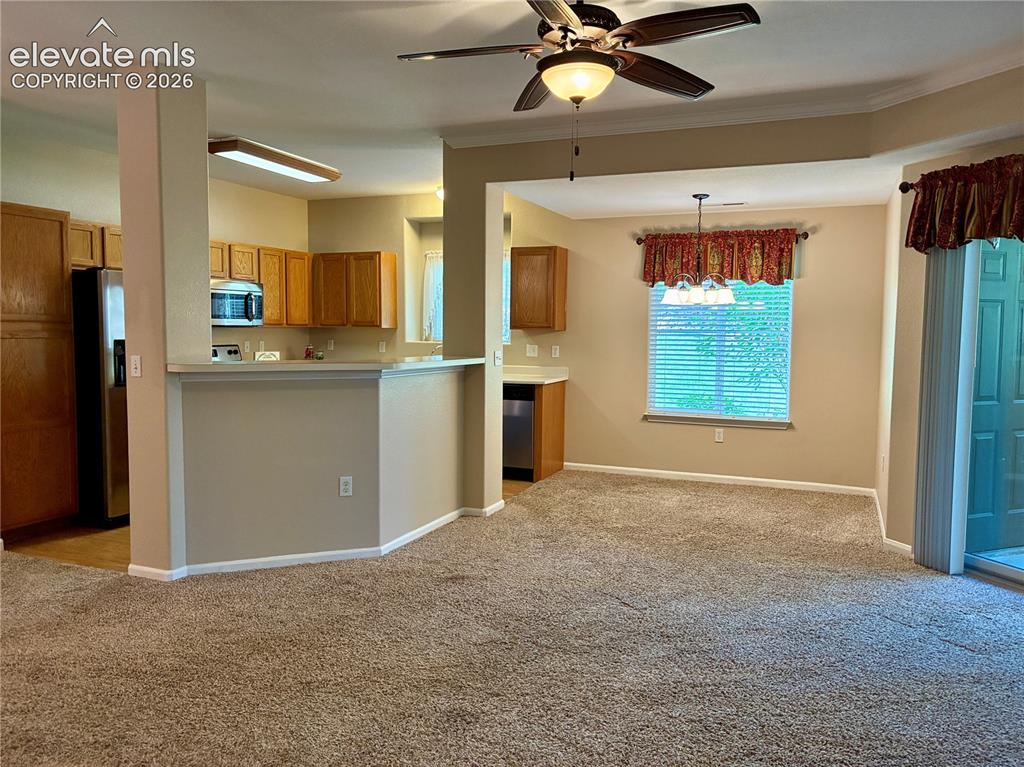 3831 Riviera Grove Colorado Springs CO 80922