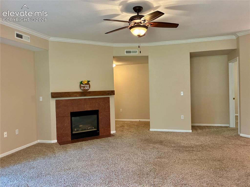 3831 Riviera Grove Colorado Springs CO 80922