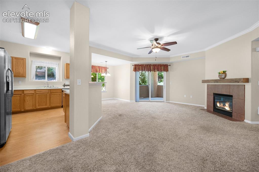 3831 Riviera Grove Colorado Springs CO 80922