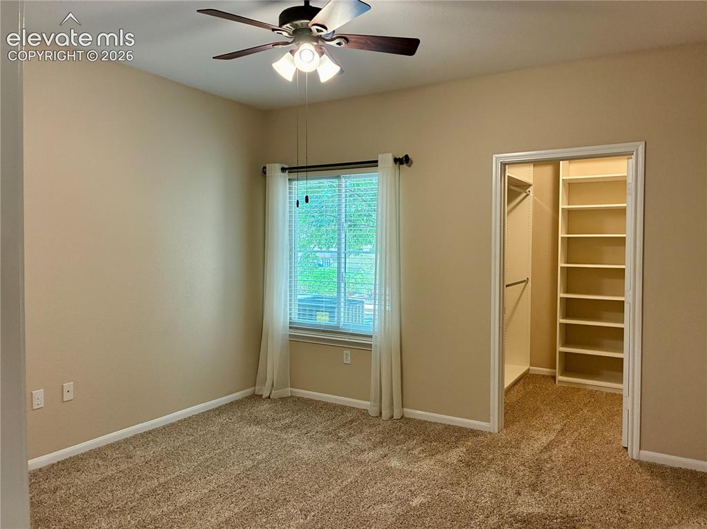 3831 Riviera Grove Colorado Springs CO 80922