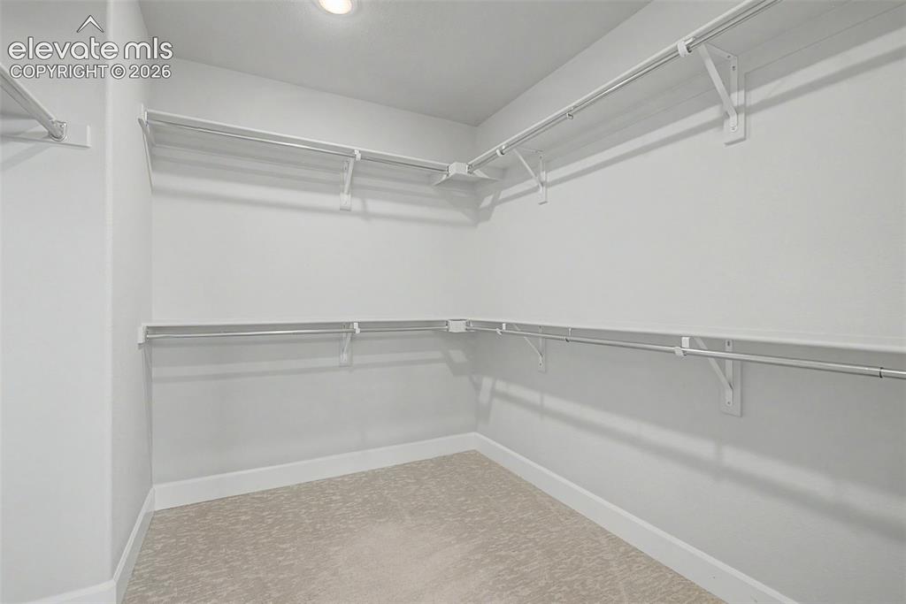 6311 Alyssum Heights Colorado Springs CO 80924