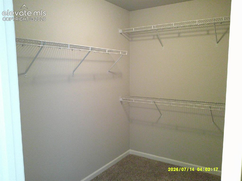 2134 Birmingham Loop Colorado Springs CO 80910