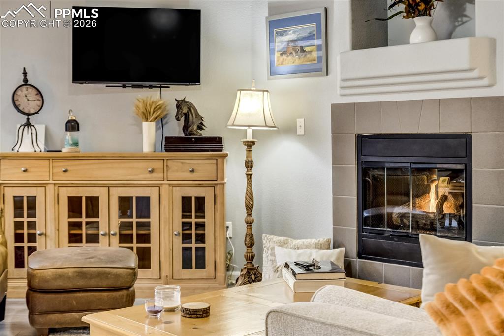 4572 Copeland Loop Highlands Ranch CO 80126