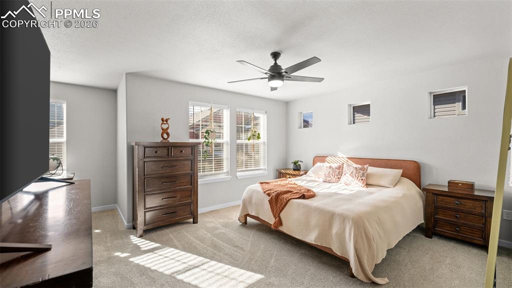 9443 Cashel Trail Colorado Springs CO 80927