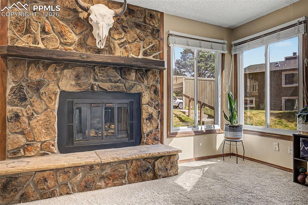 1140 Magic Lamp Way Monument CO 80132