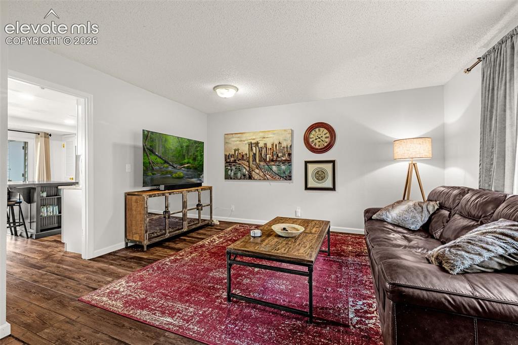 313 Raspberry Lane Monument CO 80132