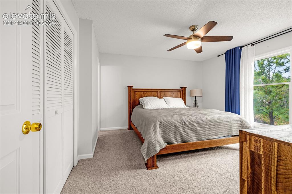 313 Raspberry Lane Monument CO 80132