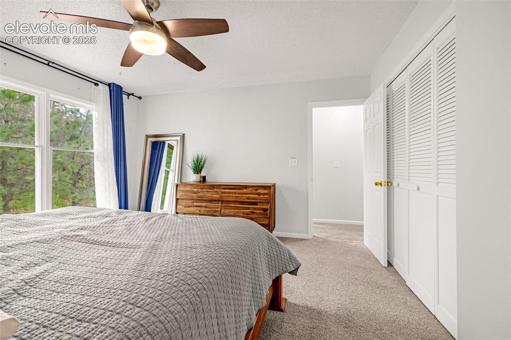313 Raspberry Lane Monument CO 80132